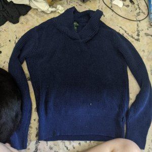 Lauren Ralph Lauren Blue M Sweater